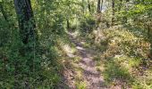 Trail Walking Reugny - Reugny - Vignes et Brenne - Photo 9