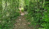 Trail Walking Collonges-la-Rouge - colonge - Photo 10