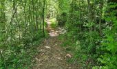 Randonnée Marche Collonges-la-Rouge - colonge - Photo 10