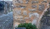 Trail Walking Forcalquier - forcalquier,les mourres - Photo 14
