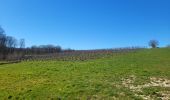 Tour Wandern Wanze - Bas Oha 180325 - Photo 14