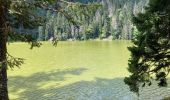 Excursión Senderismo Le Valtin - Le lac vert - Photo 2
