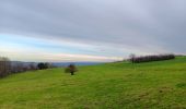 Tocht Stappen Comblain-au-Pont - autour d Oneux  - Photo 5
