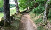 Trail Walking Sébrazac - Étape 9 Estaing a Espeyrac - Photo 3