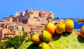 Tour Wandern Calvi - Boucle Croix des Balkans - Phare de Revellata - Notre dame de la Sierra - Photo 4