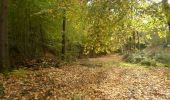 Trail Walking Bois-d'Ennebourg - 20221025-bois d'ennenbourg - Photo 3