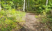 Trail Walking Vendôme - Petit parcours dans la partie Sud-est du Bois de l'Oratoire - Photo 15
