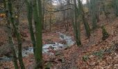 Tocht Stappen Jalhay - Hoegne-Polleur-Statte-Dolmen - Photo 4