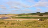 Trail Walking Sangatte - sangatte - cap blanc nez via les terres, retour par les falaise - Photo 9