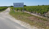 Percorso Marcia Saint-Laurent-Médoc - autour de Pauillac  - Photo 14