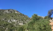 Trail Walking Casares - Casares boucle vautours  - Photo 2