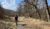 Randonnée Marche Herbeumont - Herbeumont 20 km - Photo 13