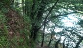 Percorso Marcia Bertrix - la roche percée  - Photo 3