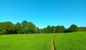 Tour Wandern Comblain-au-Pont - Comblain-au-Pont d´une rive à l´autre - Photo 7