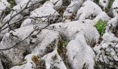 Tocht Stappen Autrans-Méaudre en Vercors - autrans - Photo 13