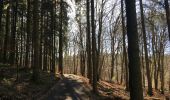 Trail Walking Saint Vith - Forêt infinie - Photo 2