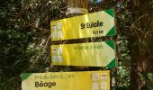 Trail Walking Saint-Martial - Tour des sucs :Sepoux-Seponet-Sommet Lauziére-Taupernas - Photo 3