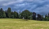 Tocht Stappen Champeau-en-Morvan - saint leger de fouche 3.3 km - Photo 2