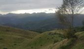 Randonnée Marche Portet-d'Aspet - soum de Cornuderes en boucle - Photo 1