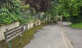 Tocht Stappen Les Granges-le-Roi - Forêt domaniale de Dourdan  - Photo 13