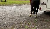 Trail Horseback riding Bièvre - Graide manege 10km ZZW - Photo 3