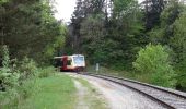 Trail On foot Gomadingen - Zugangsweg - Bärenhöhle Erpfingen Hörschwang Bronnen - Photo 3