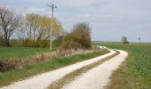 Tour Zu Fuß Rochford - Roach Valley Walk - Photo 4