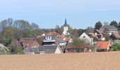 Tour Wandern Meise - Wolvertem - Photo 5