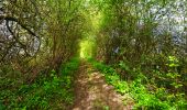 Trail Walking Houyet - Balade autour du Château de Vêves - Celles - Photo 8