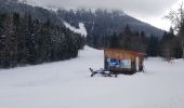 Tocht Langlaufen Sarcenas - Ski de fond - col de porte - Photo 1