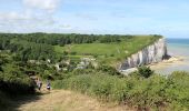 Tour Wandern Sassetot-le-Mauconduit - Sassetot le Mauconduit 22.5Km Dén P 432m - Photo 3