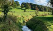 Excursión Senderismo Sint-Truiden - La réserve naturelle Overbroek à Saint-Trond - Photo 1