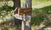 Trail Walking Thorame-Basse - Cheval Blanc - Photo 5