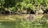 Trail Mountain bike Ormoy-le-Davien - vtt crouy - Photo 3