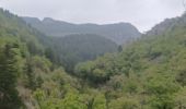 Trail Walking Bevons - BEVONS. TOUR DE PENSIER .LE COLLET. CHAPELLE ST BEVONS. PAS DE L ESSAILLON. LA FAYEE. O L M S - Photo 6