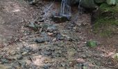 Tour Wandern Le Tholy - les cascades - Photo 4