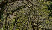 Percorso A piedi Unknown - Lynmouth Circular via Watersmeet & Countisbury - Photo 3