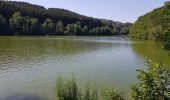 Tocht Stappen Lac de la Haute-Sûre - Bavigne - Photo 14
