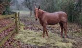 Tour Wandern Cormeilles - cormeilles - Photo 3