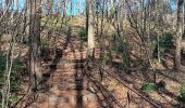 Randonnée Marche Santa Pau - la Garrotxa : volcan Santa Margarida et volcan de Croscat - Photo 10