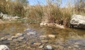 Trail On foot Ramat Negev Regional Council - IL-17280 - Photo 2