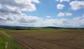 Tour Radtourismus  Lierneux - Arbrefontaine - Toodlermillen - Photo 10