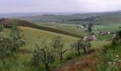 Tour Wandern Castelfiorentino - Coiano /  Pancole - Photo 14