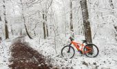 Tocht Mountainbike Yvoir - GODINNE ... balade hivernale. - Photo 5