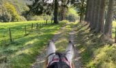 Trail Horseback riding Bastogne - Lutrebois - Photo 6
