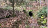 Excursión Senderismo Bourbach-le-Bas - Autour de Bourbach le bas - Photo 4