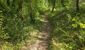 Randonnée Marche Maisse - Maisse - Forêt communale de Milly-la-Forêt - Photo 14