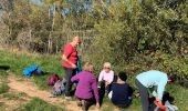 Trail Walking Grevilly - Grevilly le14-10-2021 - Photo 3