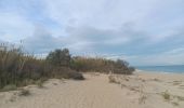 Tour Wandern Argelès-sur-Mer - réserve du mas Larrieu de part et d autre du Tech - Photo 16