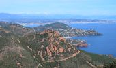 Excursión Senderismo Saint-Raphaël - Pk Col de Belle Barbe - Ravin Mal Infernet - Pic du Cap Roux - Grotte Saint Honorat - Ravin des Lentisques - Photo 1